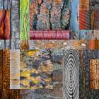 USA, Washington State. Wood and bark collage. Art Print
